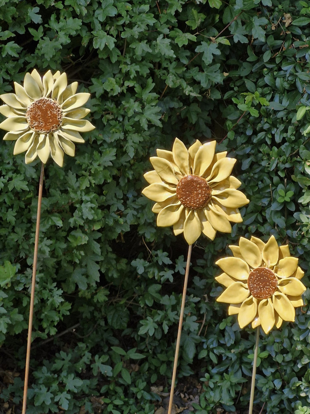 Zonnebloem