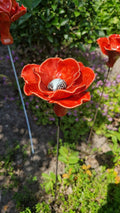Bloem voor in de tuin