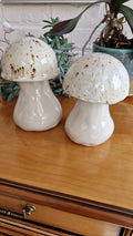 Paddestoelen keramiek