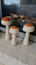 Paddestoelen keramiek