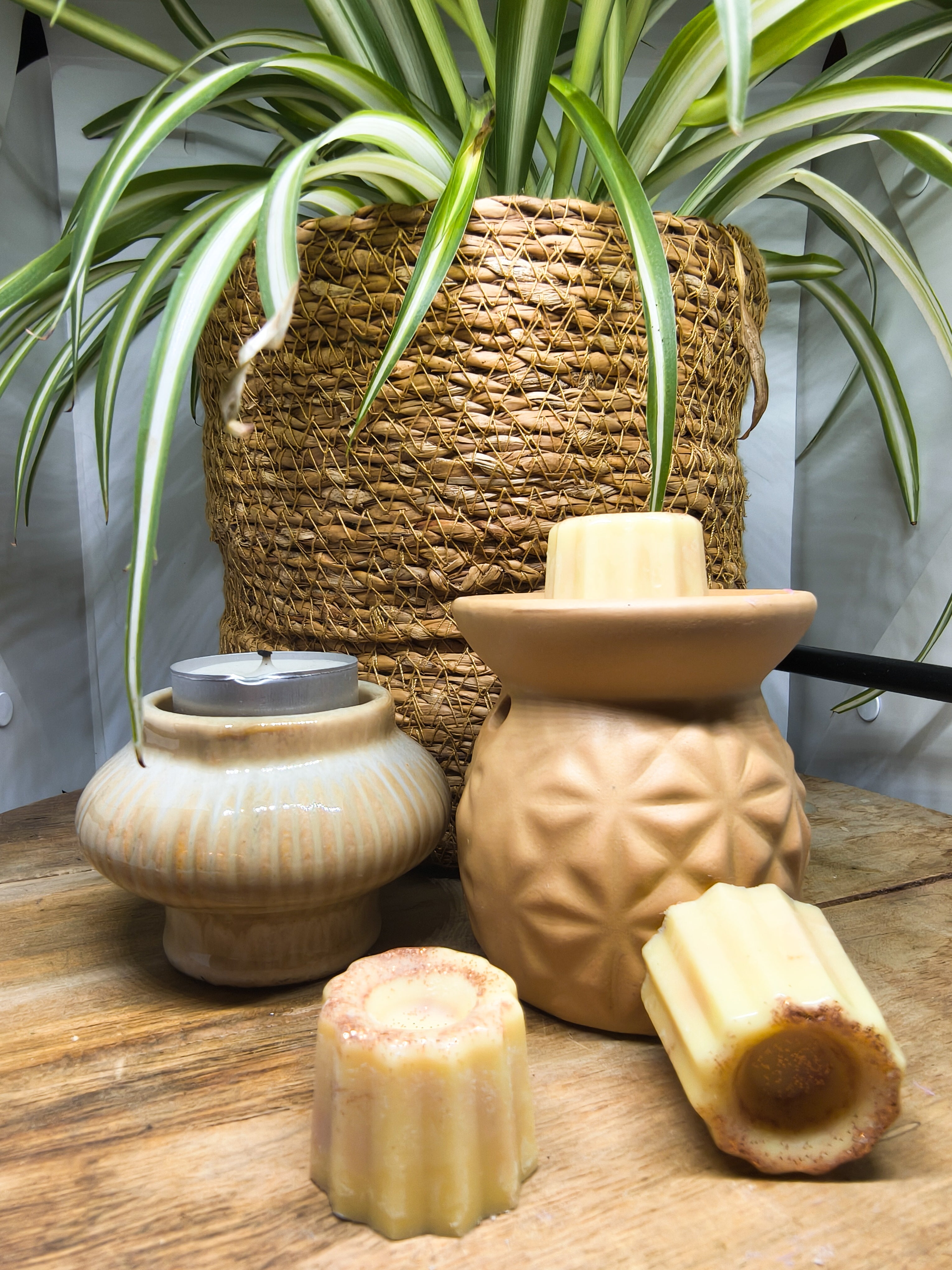 Waxmelts - Apple pie