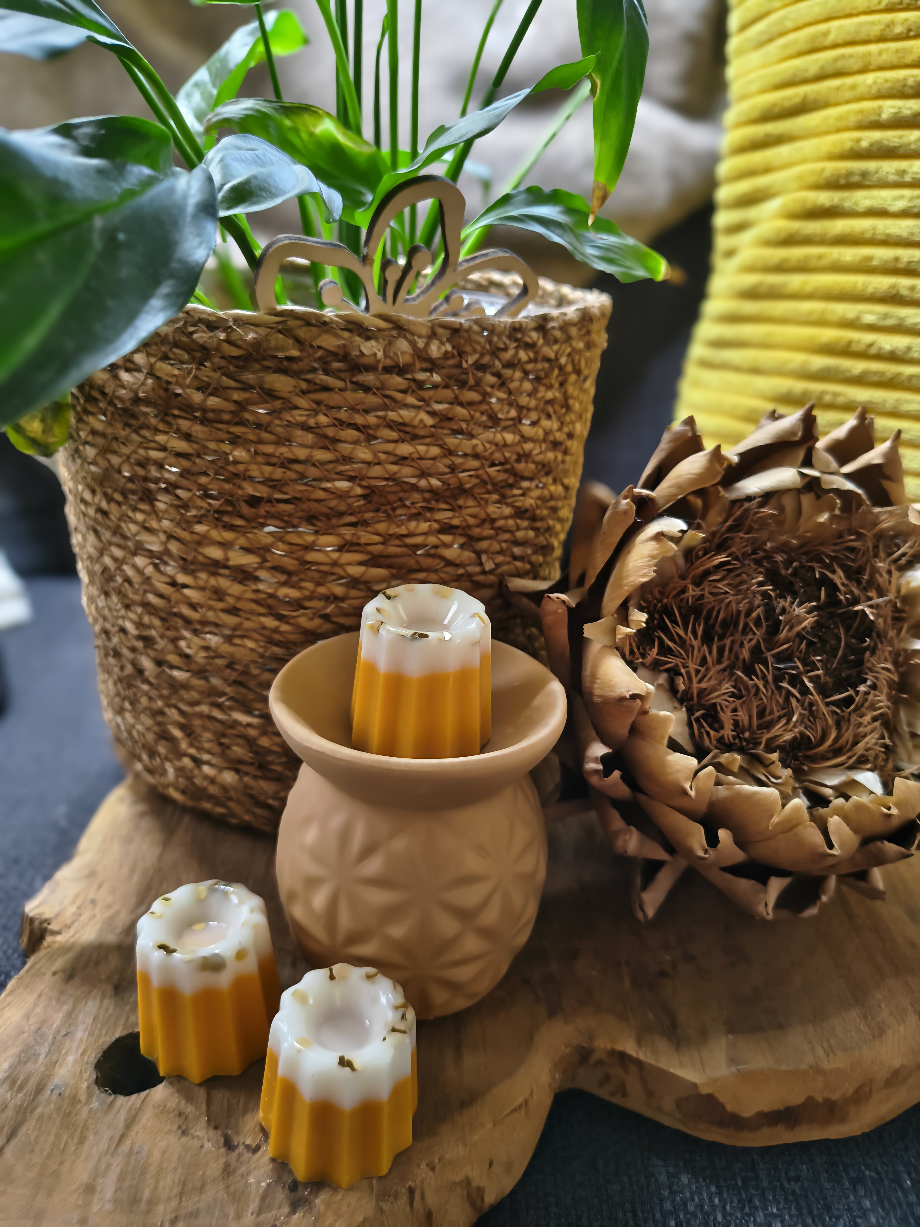 Waxmelts - Amber - orange