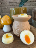 Waxmelts - Cotton blossom