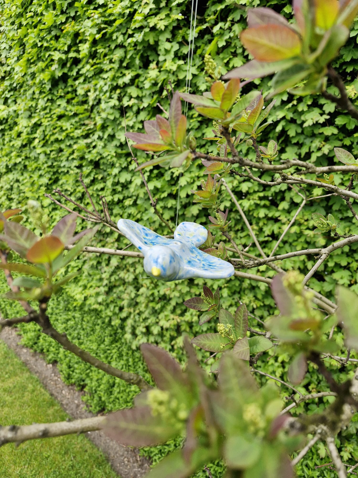 Vogeltje om in de boom te hangen