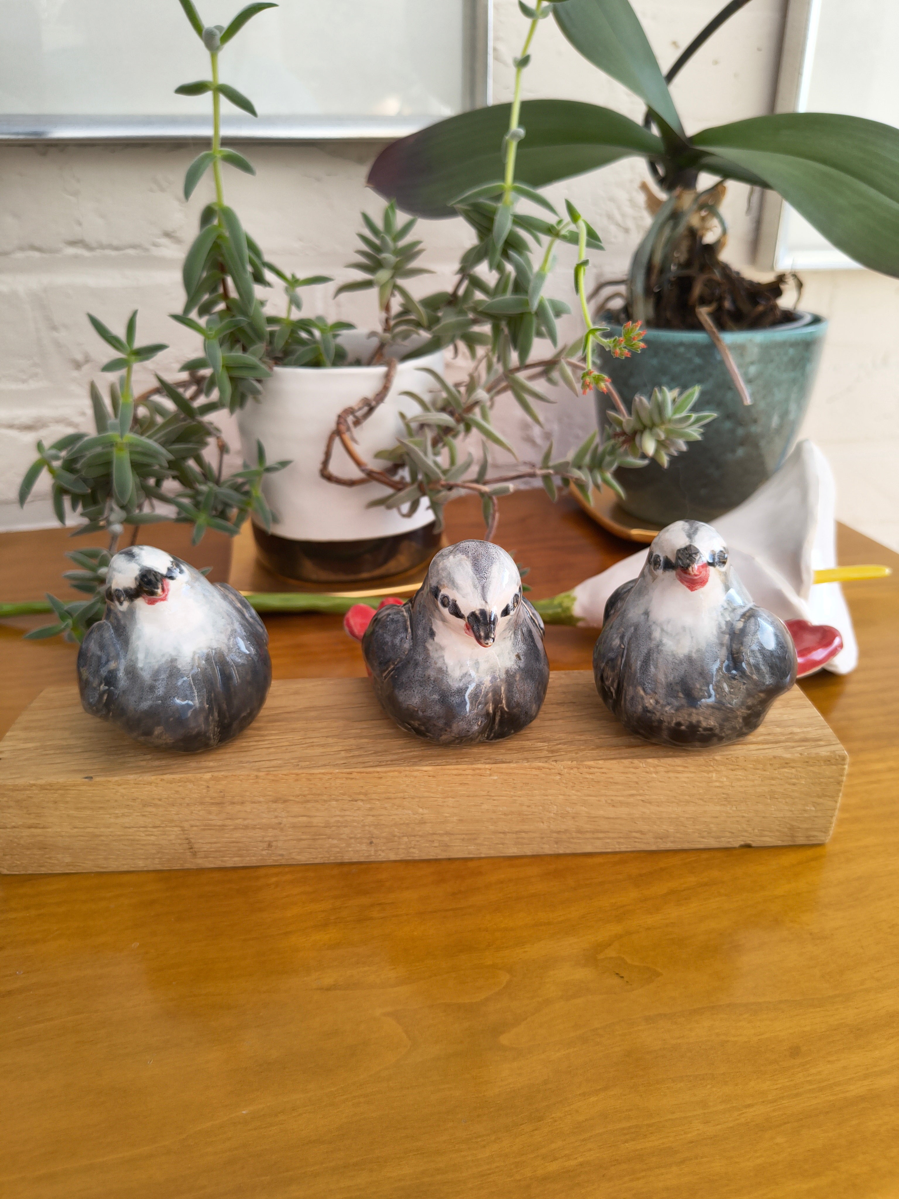 Keramieken vogels op hout