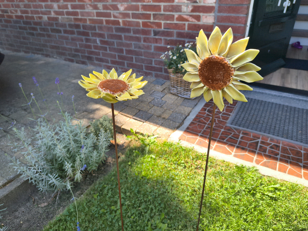 Zonnebloem