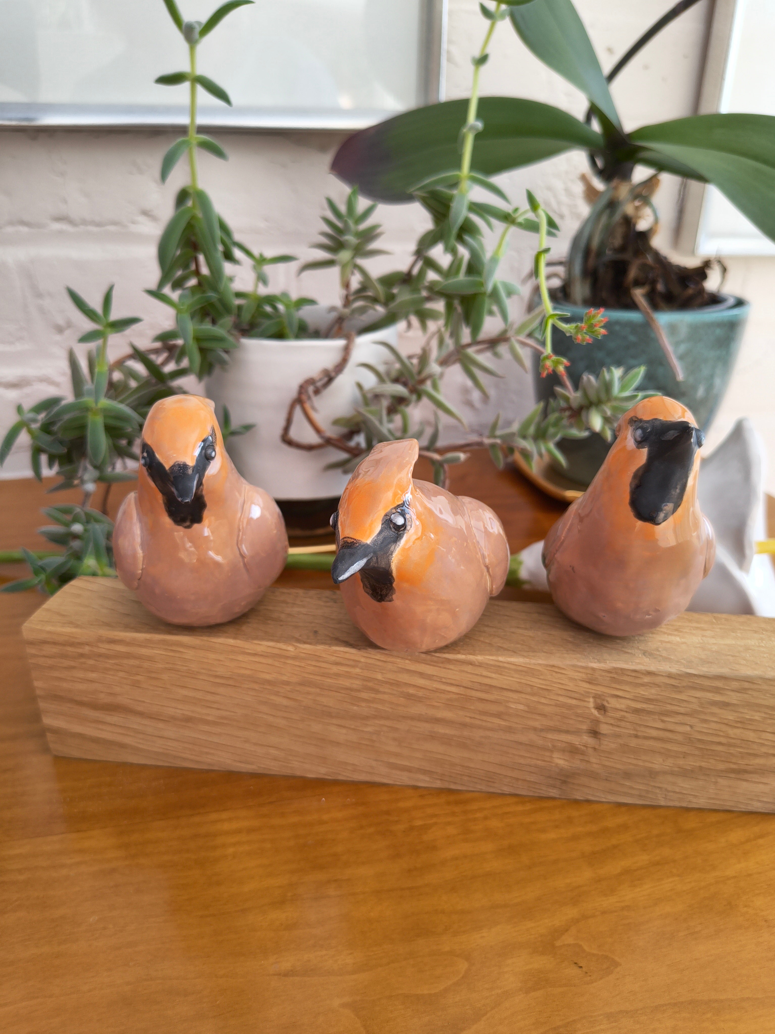 Keramieken pestvogels op hout